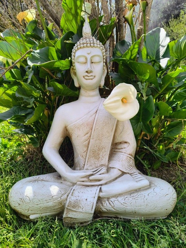 Producto - BUDA TAILANDES
