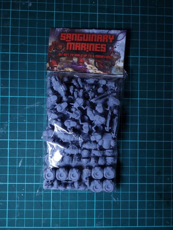 Producto - Pack de Sanguinary Marines (simil Blood Angels) - 7 unidades