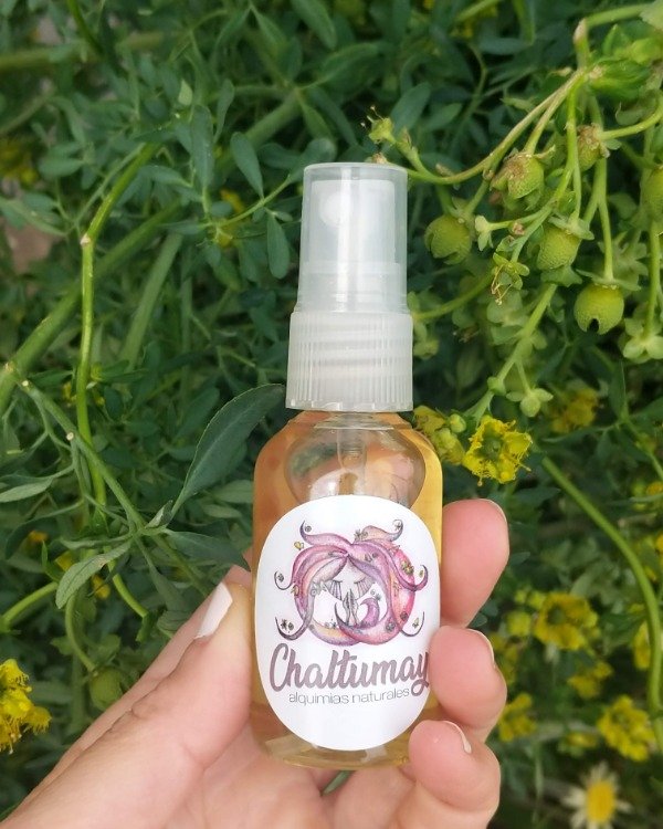 Producto - Limpieza y Protección