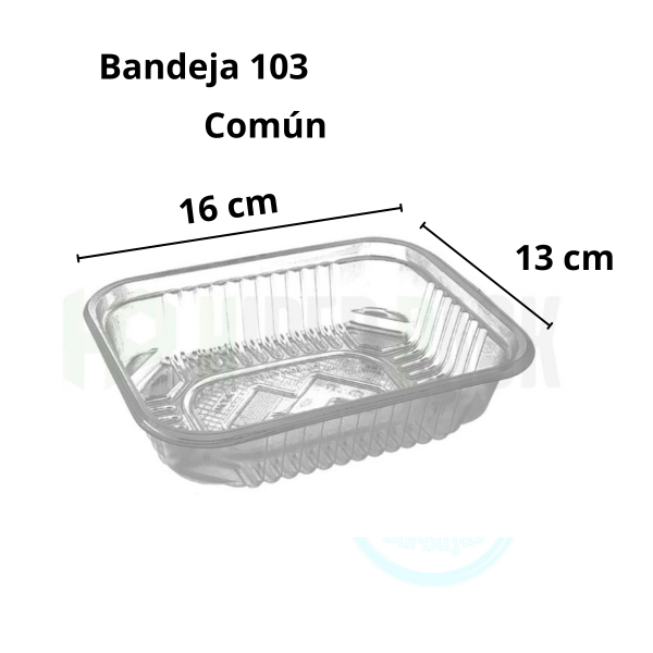 Producto - Bandeja Plástica N.103 común x 1