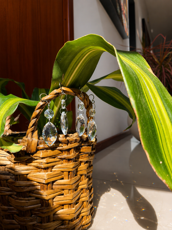 Producto - Aura plantas x4