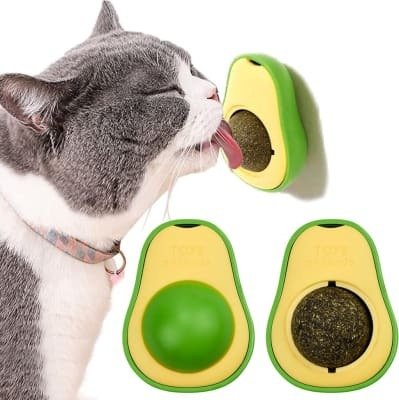 Producto - Palta cat nip