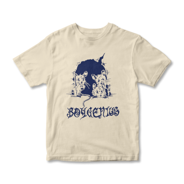 Producto - REMERA BOYGENIUS - TALLE L
