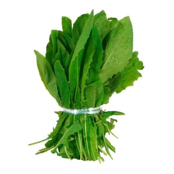 Producto - ATADO DE ACHICORIA