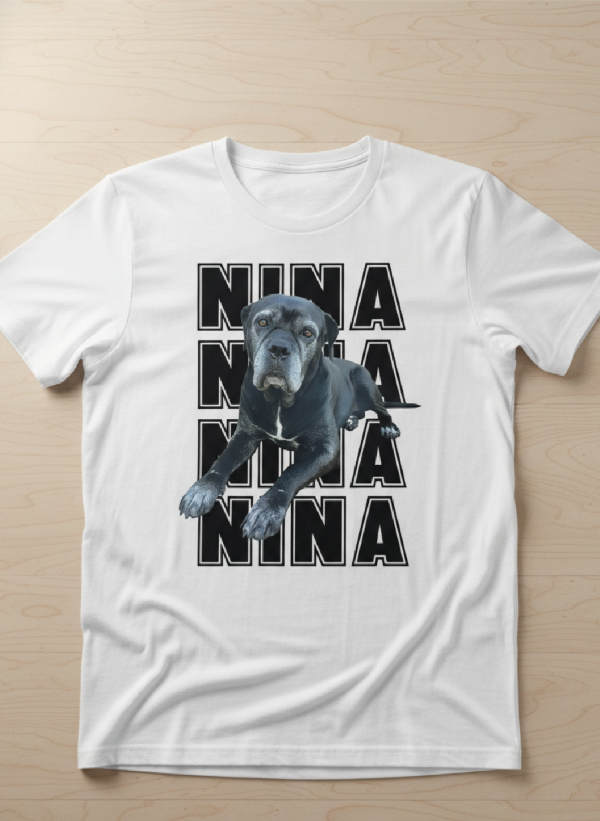 Producto - Remera College - Personalizada con tu mascota