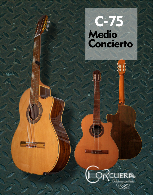 Producto - C-75 Guitarra Clásica Medio Concierto con corte + Funda Ritter