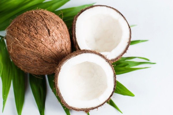 Producto - aceite de coco pack x 12 de 30 g c/u