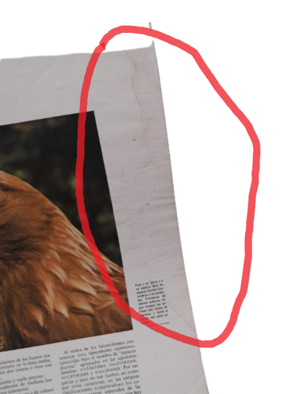 Miniatura de producto - 8