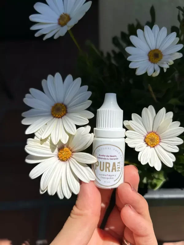 Producto - Pipeta Natural Repelente para Gatos