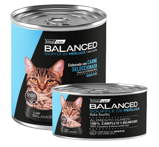 Producto - Vital Can Balanced Soufflé Sardina  340gr. Gatos