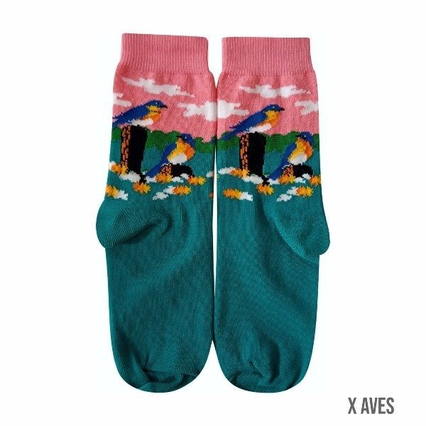 Producto - Intermedias Aves