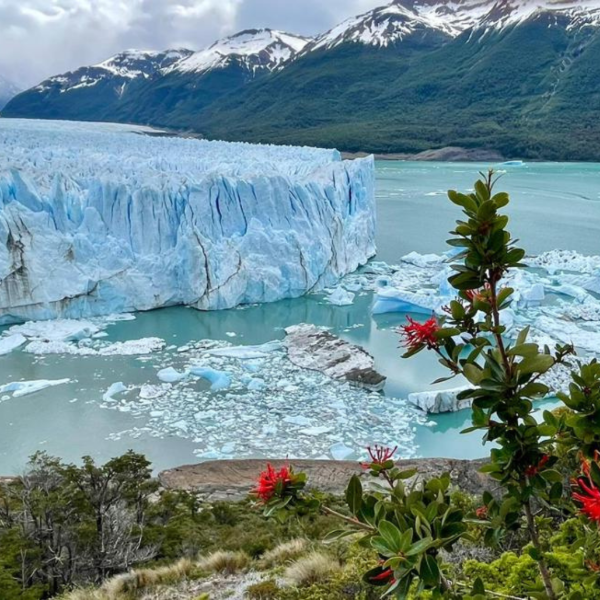 Miniatura de producto - 11