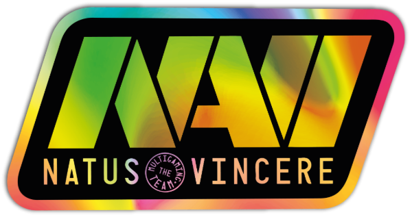 Producto - NAVI - Counter Strike