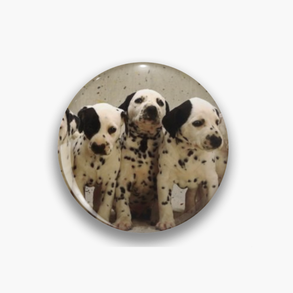 Producto - pin DALMATAS