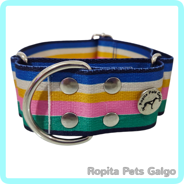 Producto - Conjunto Collar y Correa Alegria - 1