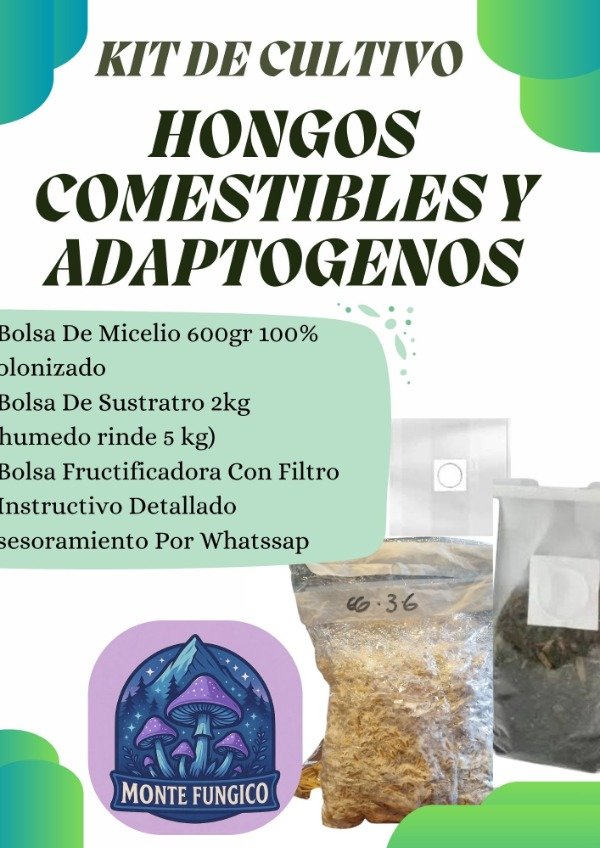 Producto - KIT CULTIVO HONGOS ADAPTOGENOS / COMESTIBLES