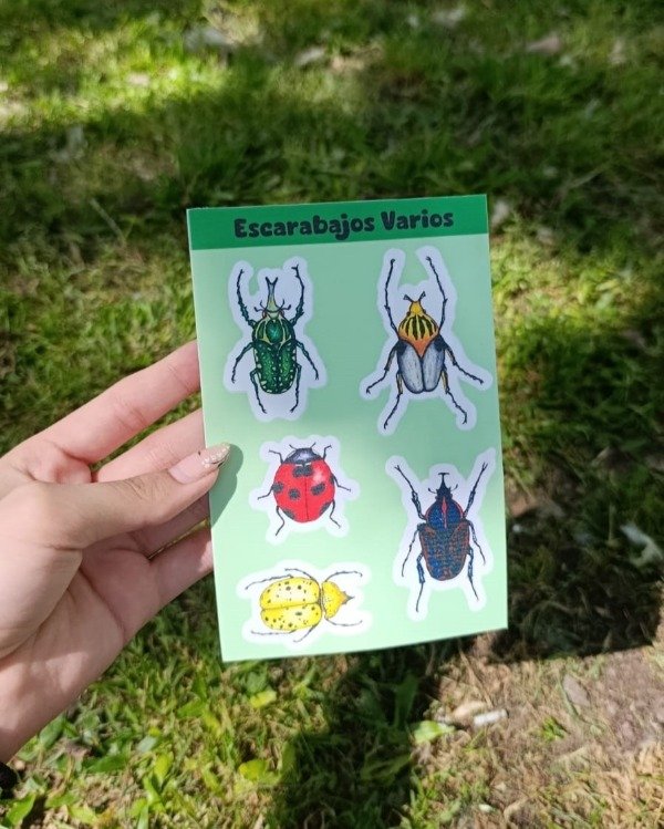 Producto - Plancha Escarabajos Transparente