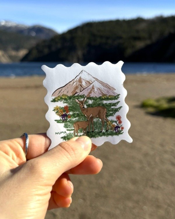 Producto - Sticker vinilo blanco HUEMUL Y CRÍA