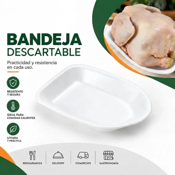 Producto - BANDEJA DE TELGOPOR EXPANDIDO BANDEX 604 X 50 Unidades - 0