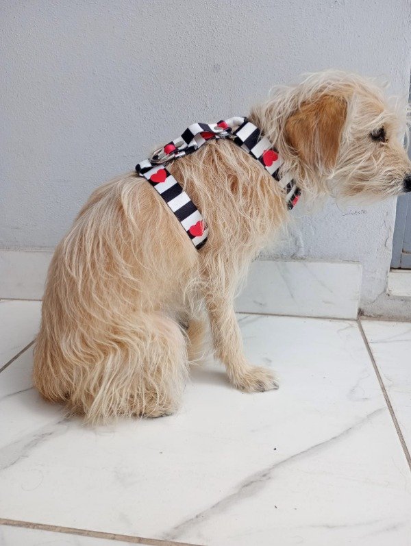 Producto - Talle M con correa