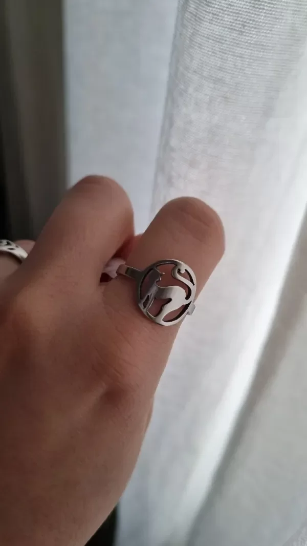 Producto - Anillo circular con gatito aq talle 19