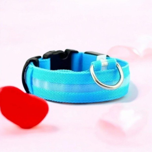 Producto - Collar led perros y gatos