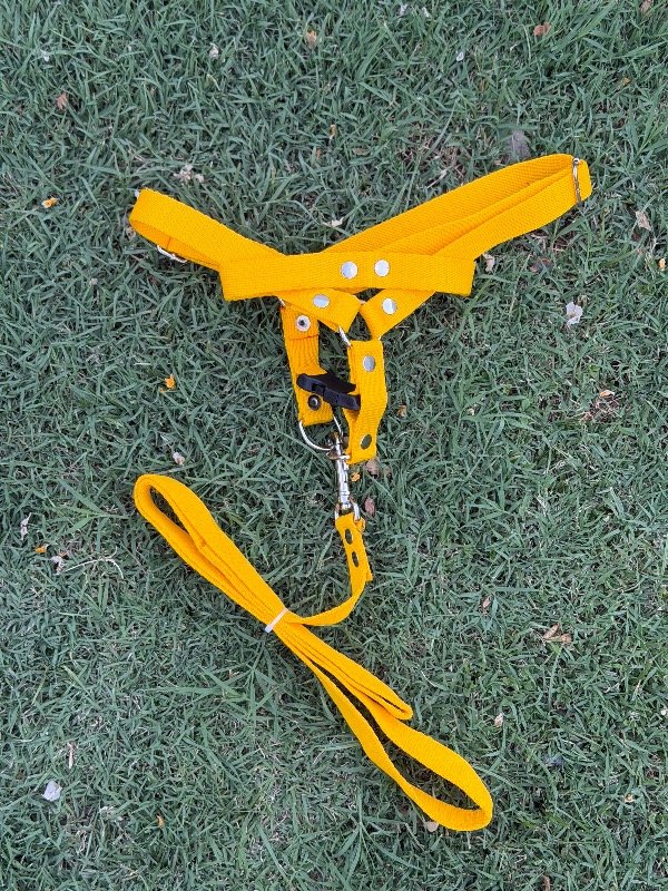 Producto - Pretales con correa