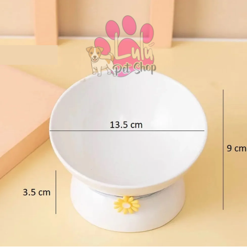Producto - PLATO CERAMICA ELEVADO