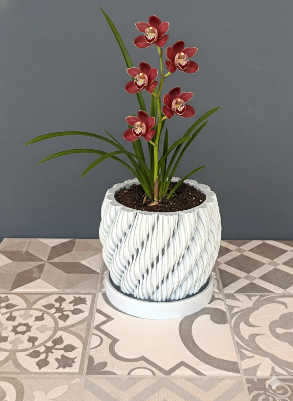 Producto - Orquideas - 2