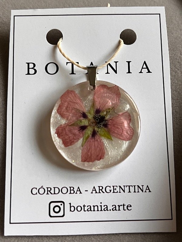 Producto - Variedad 28 malva - 1