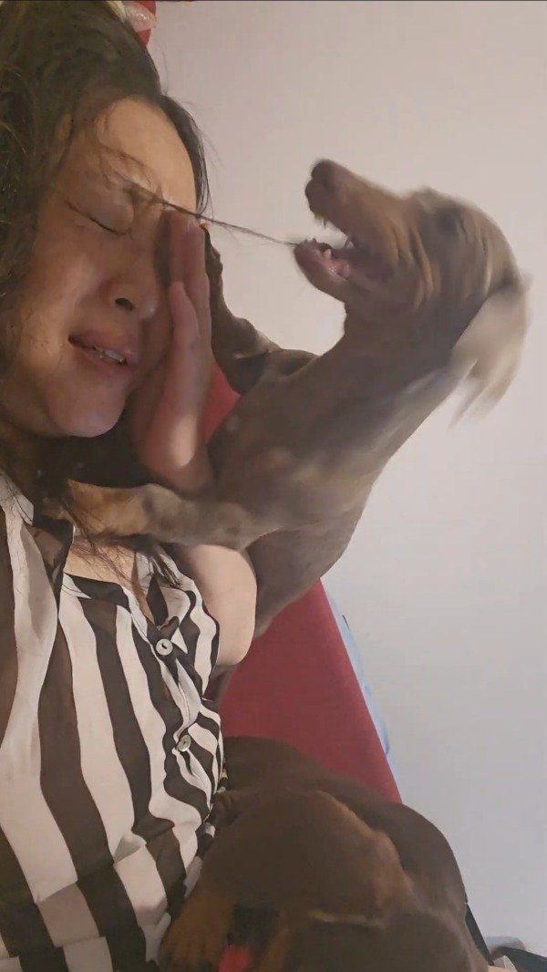 Producto - 005 Silver puppy and Blue Kiss (4.49 min)