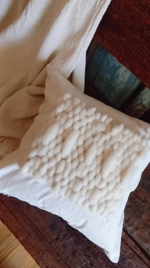 Producto - almohadón Pampa - 1