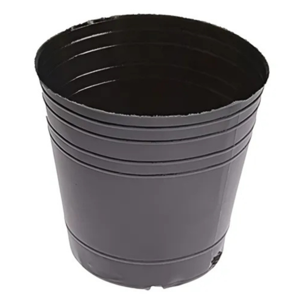 Producto - Soplada 5Lt