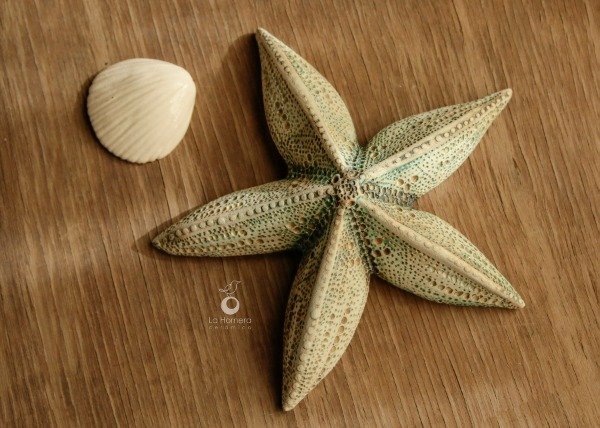 Producto - Escultura Estrella de Mar - Pieza Única de Autor - 6