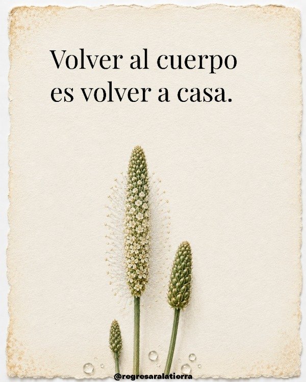 Miniatura de producto - 13