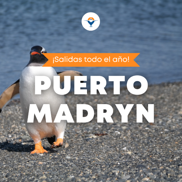 Producto - Puerto Madryn