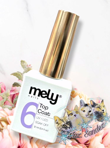 Producto - TOP COAT MELY 12ML