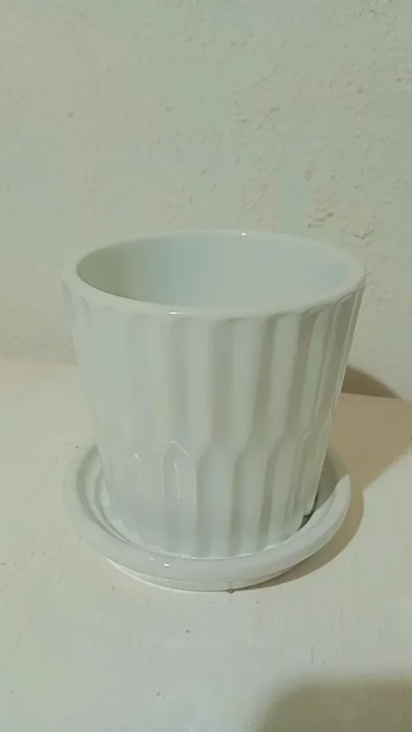 Producto - Maceta