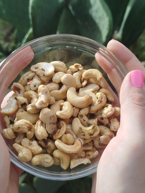 Producto - Castañas de Cajú 250grs