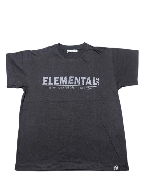 Producto - Remera Elemental