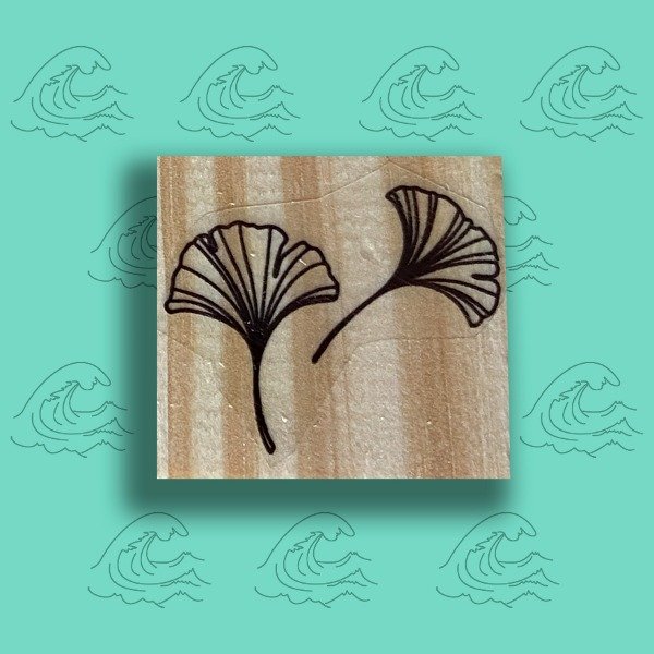 Producto - 4x4 Hojas de Ginko