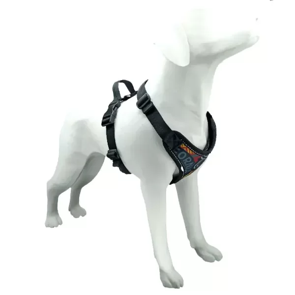 Producto - ARNESES KODI Talle 1-4