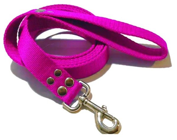 Producto - Correa de perro Urbana 2 mts  de largo  por 3 cm  de ancho reforzada - 0