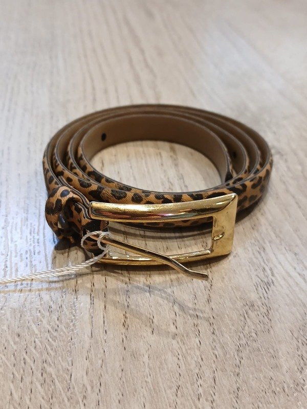 Producto - Cinto (brasil)