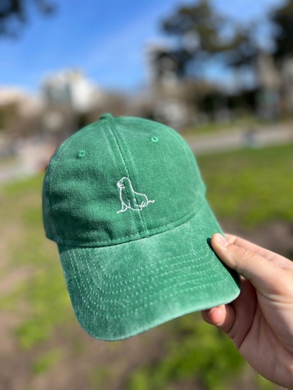 Producto - Gorra lobo marino verde