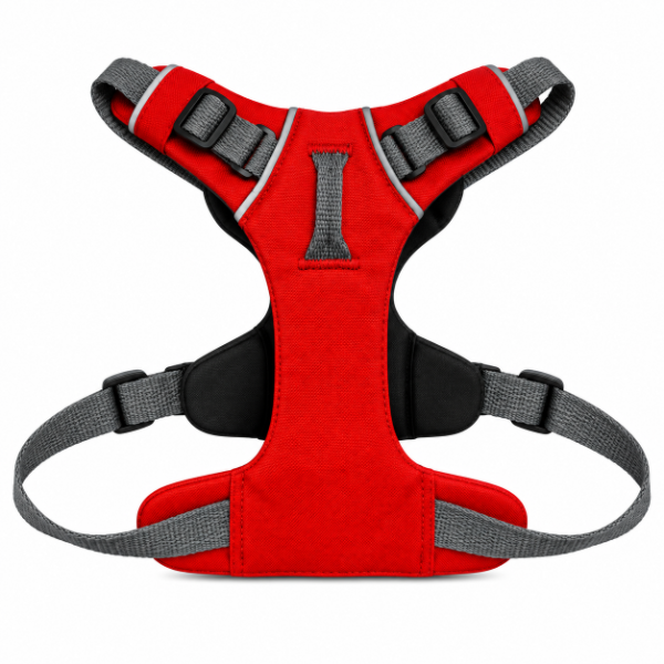 Producto - ARNES DEPORTIVO / Large