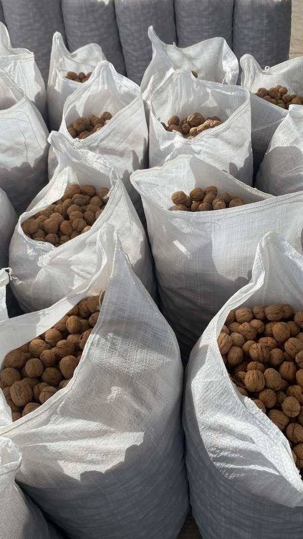 Producto - Nuez con Cáscara x 25 kg