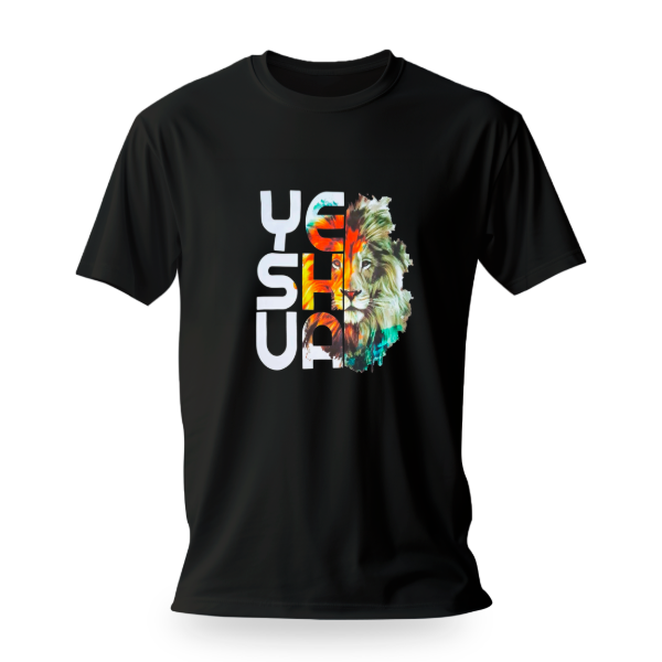 Producto - PROMO Remera Talle Del 1 Al 8 (YESHUA LEÓN) (X1 UNIDAD)