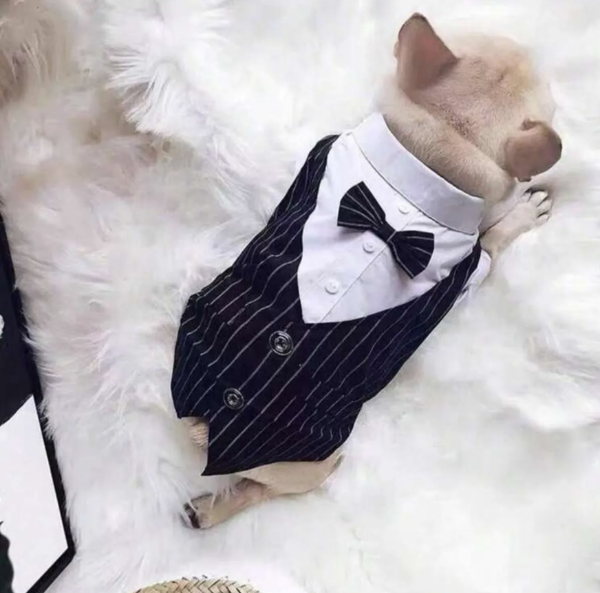 Producto - Traje Smoking de fiesta.