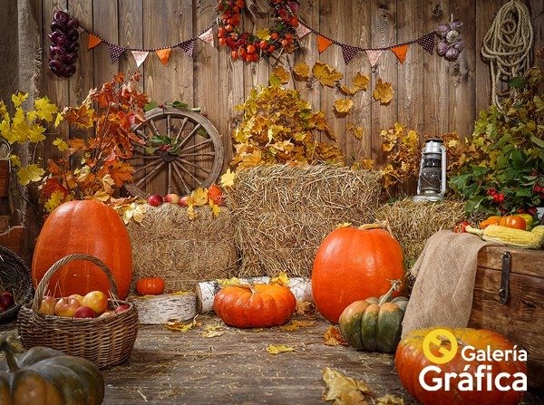 Producto - Halloween FS 03